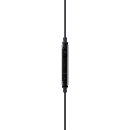 Samsung Type-C Earphones Black | EO-IC100BBEGWW